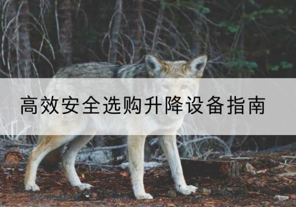 温县升降货梯厂家推荐-*安全选购升降设备指南