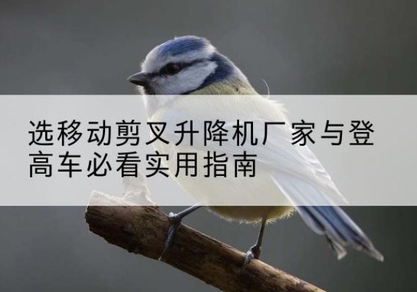温县电动升降机厂家-选移动剪叉升降机厂家与登高车必看实用指南
