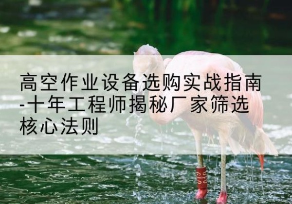 温县剪叉式升降机厂家-高空作业设备选购实战指南-十年工程师揭秘厂家筛选核心法则